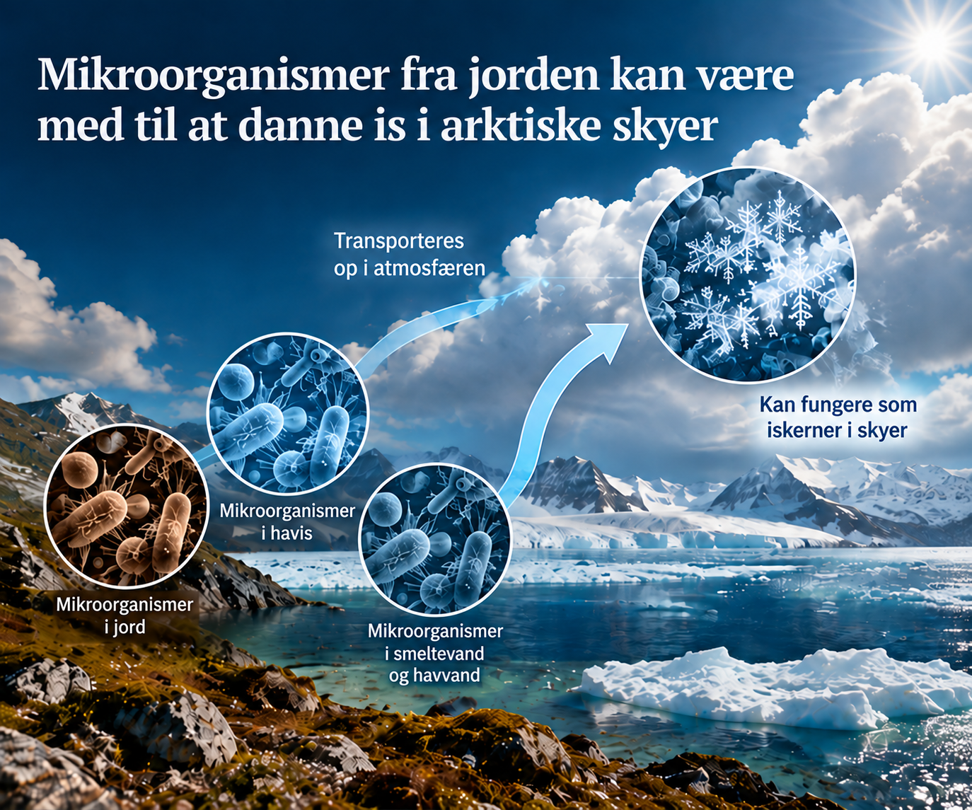 Illustration af mikroorganismer fra arktiske miljøer, der transporteres til atmosfæren og kan fremme isdannelse